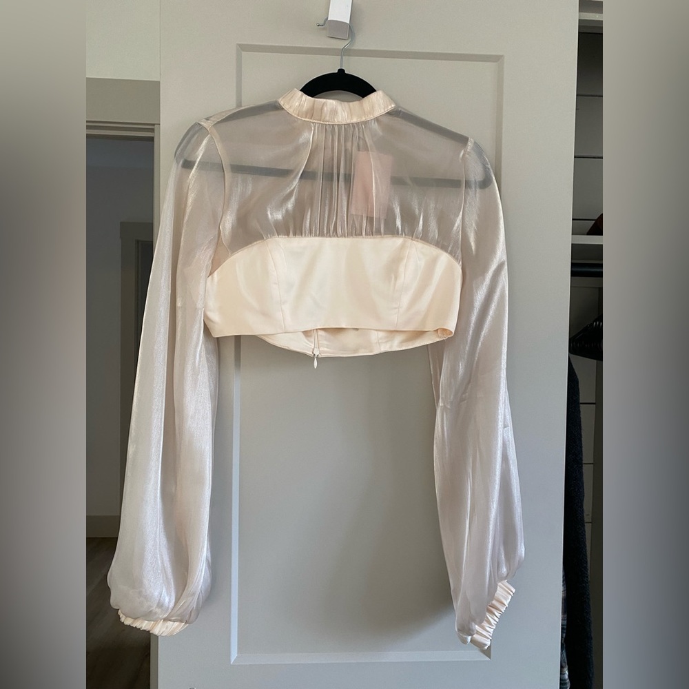 Glamorous Champagne Sheer Puff Sleeve High Neck Crop Top